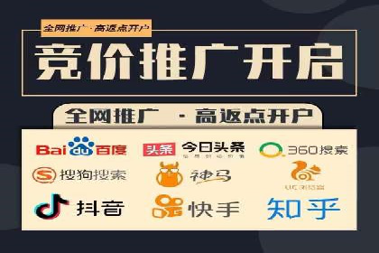百度推广排名案例报告：某行业巨头如何运用其占领市场高地